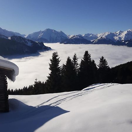 Appartamento Haus Viktoria Mayrhofen Esterno foto