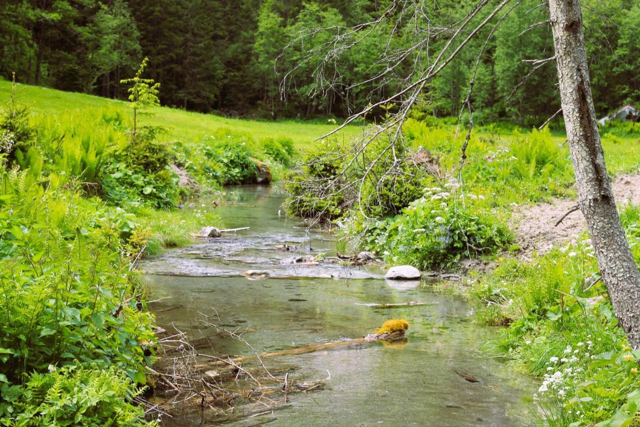 Appartamento Haus Viktoria Mayrhofen Esterno foto