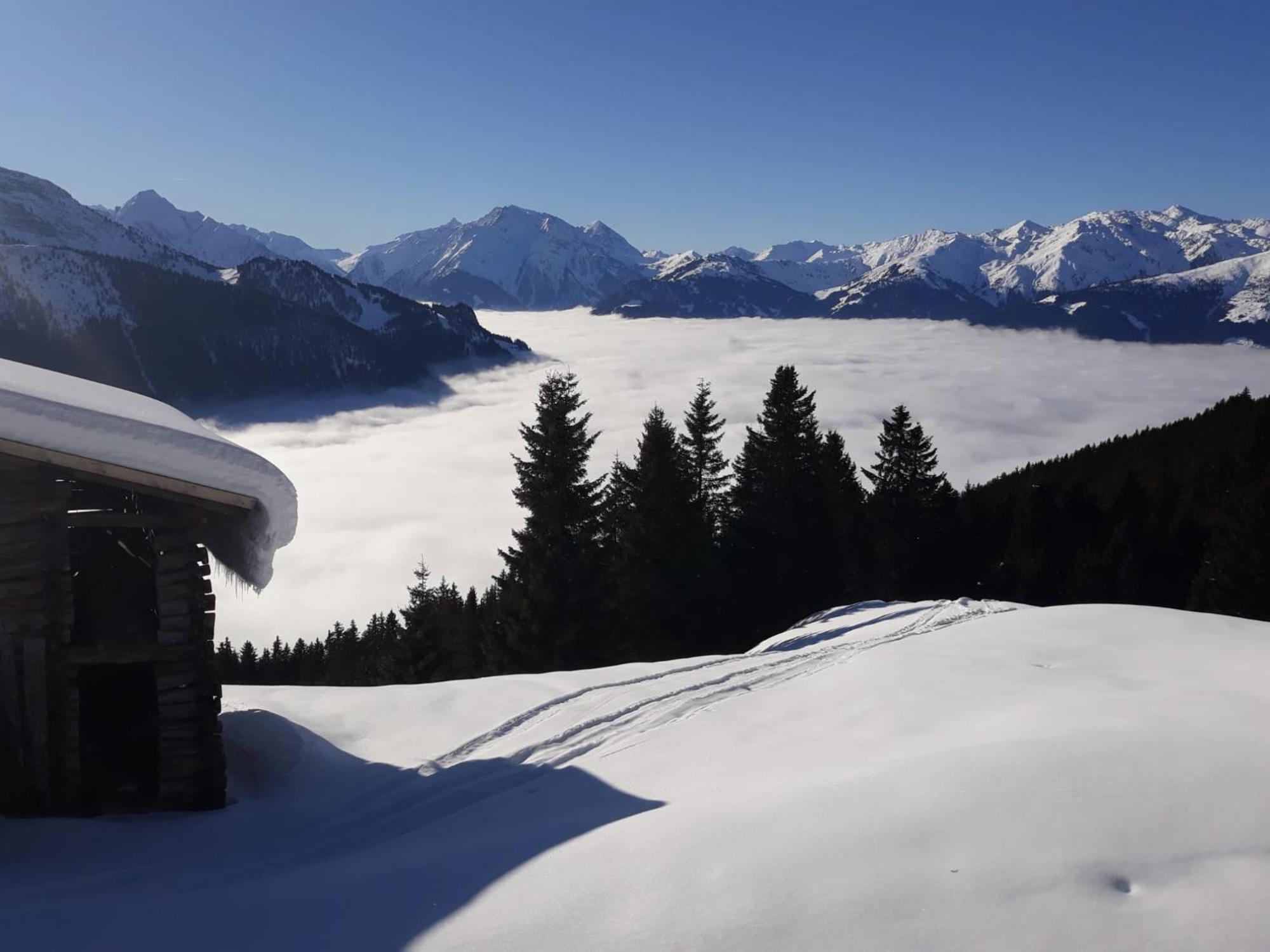 Appartamento Haus Viktoria Mayrhofen Esterno foto
